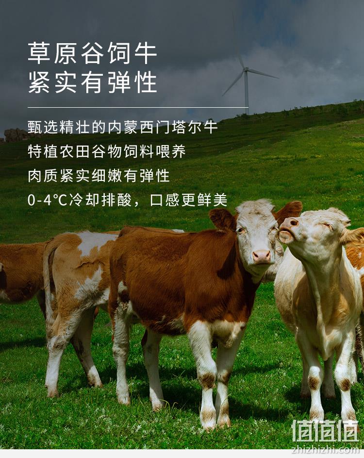 门店同款：约2.75kg 西贝莜面村 内蒙古牛羊肉大礼盒 369元顺丰包邮，88vip会员9.5折 值值值-买手聚集的地方