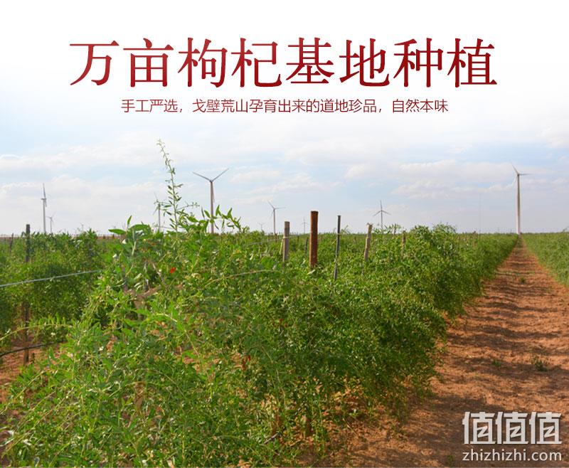 中杞集团出品，天景山 有机头茬中宁枸杞子 100g 9.9元包邮 值值值-买手聚集的地方
