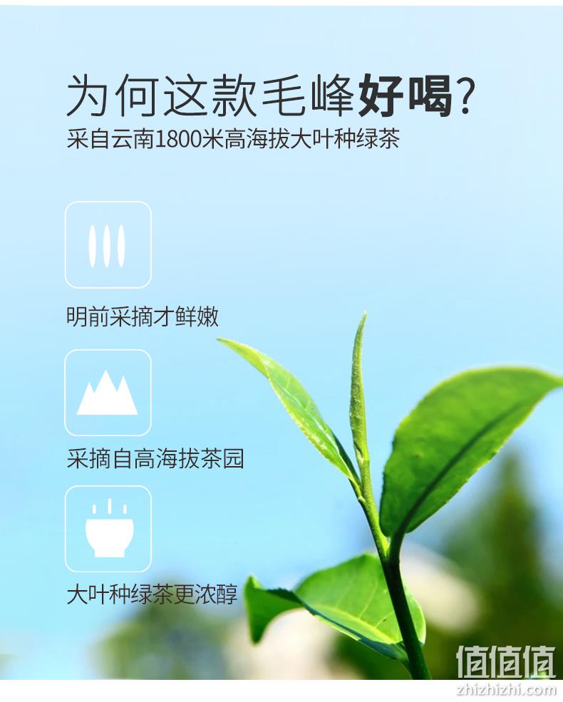 上市企业旗下，2022新茶：125g 天福天心茗茶 一级早春毛峰 19元包邮（京东旗舰店39.9元） 值值值-买手聚集的地方