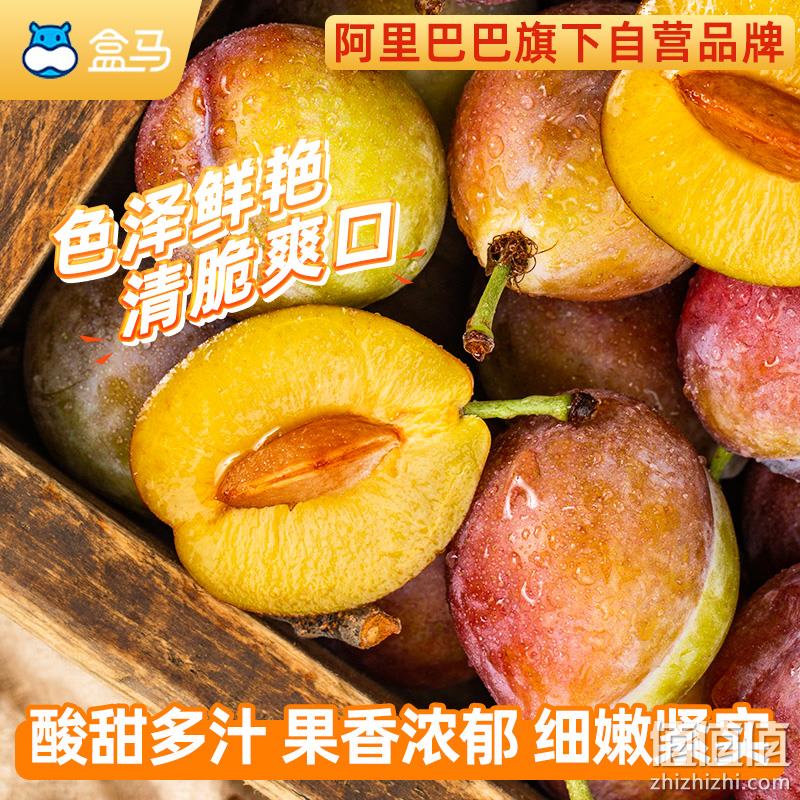 鲜西梅上市啦！盒马 进口智利西梅500g  券后39.90元包邮 值值值-买手聚集的地方