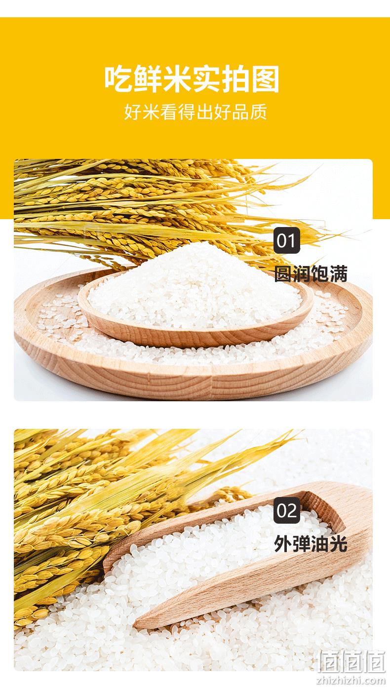 一年一季，圆润饱满：10斤 逸知鲜 2021新米 东北大米珍珠米 25.9元包邮 值值值-买手聚集的地方