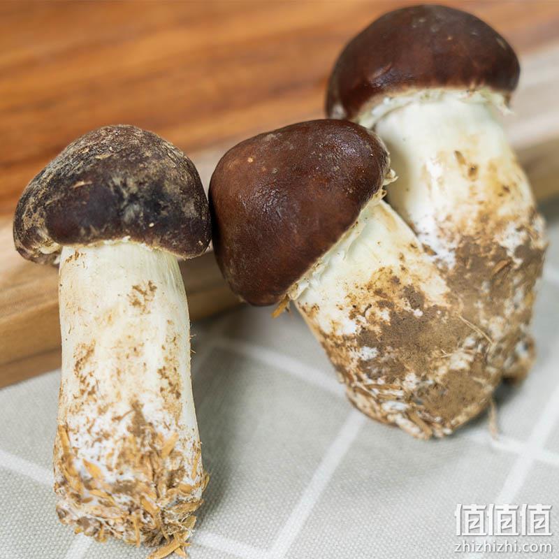 纯天然新鲜赤松茸1000g 劵后29.9元顺丰包邮 值值值-买手聚集的地方