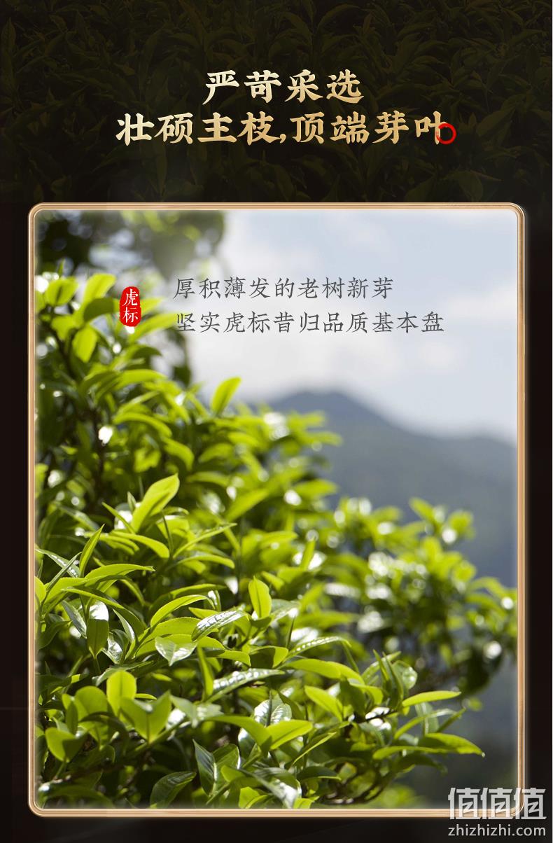 原昆明茶厂技术副厂长力作：200g 香港 虎标 新品昔归古树茶 普洱生茶饼 346元包邮 值值值-买手聚集的地方