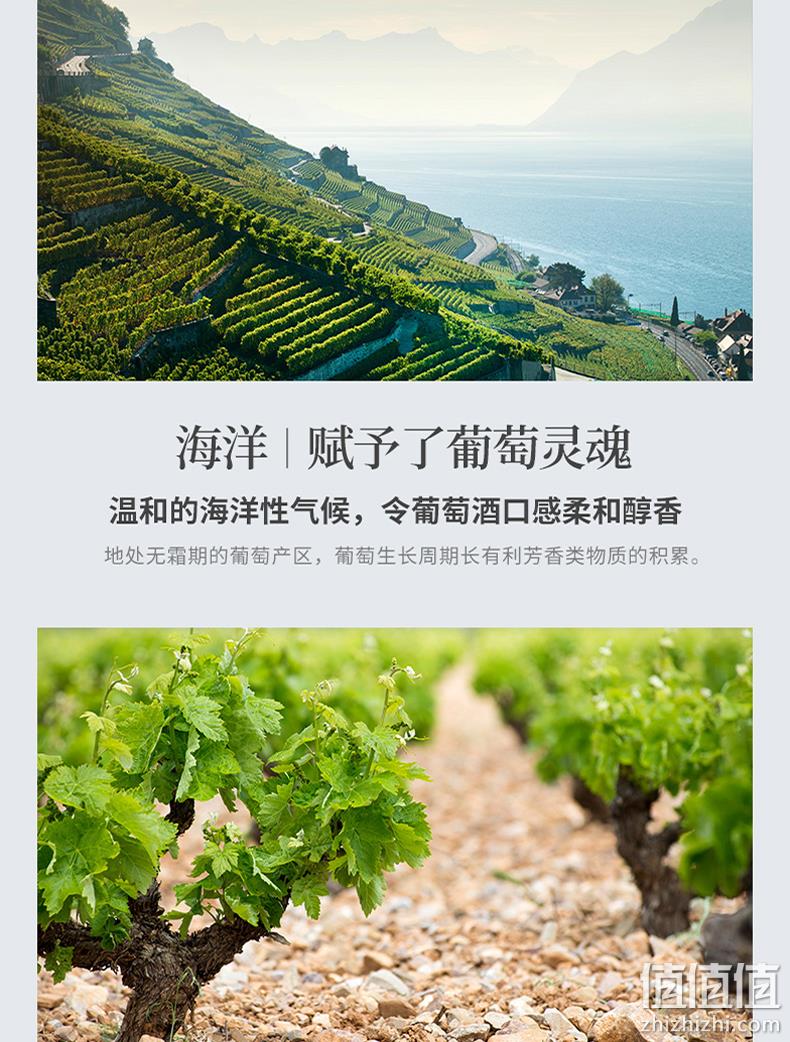 烟台海岸产、一瓶一码防伪：2支 法尼特 进口酒庄干红葡萄酒 券后19.9元包邮 值值值-买手聚集的地方