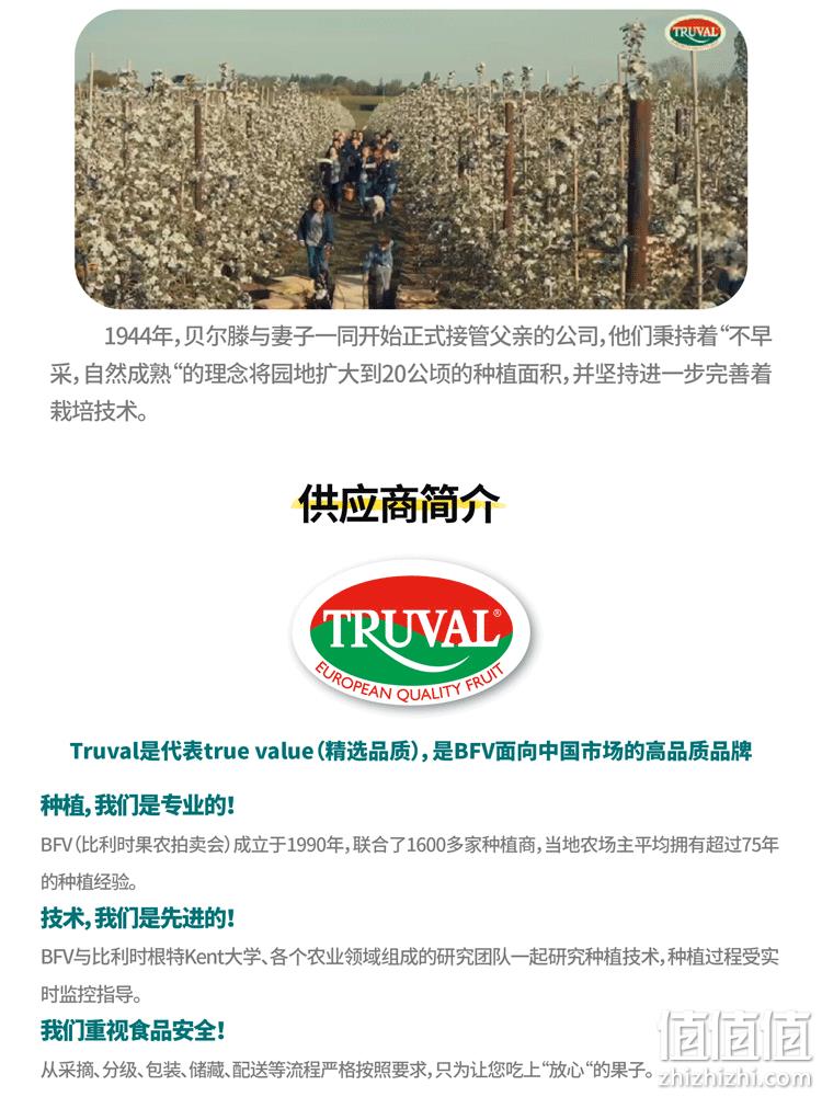 不用吐核，比利时进口：3斤 Dole都乐 新鲜啤梨 单果120~180g 42元包邮 值值值-买手聚集的地方