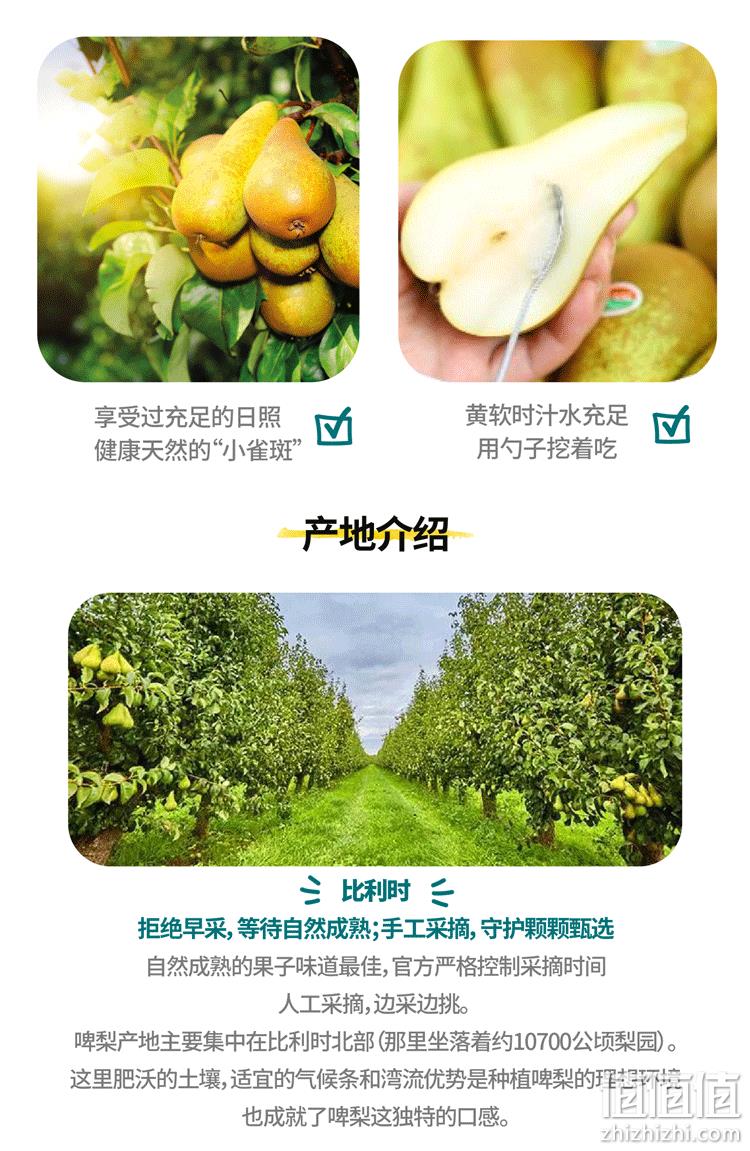 不用吐核，比利时进口：3斤 Dole都乐 新鲜啤梨 单果120~180g 42元包邮 值值值-买手聚集的地方