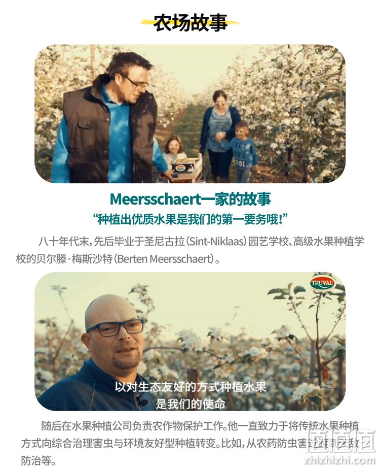 不用吐核，比利时进口：3斤 Dole都乐 新鲜啤梨 单果120~180g 42元包邮 值值值-买手聚集的地方