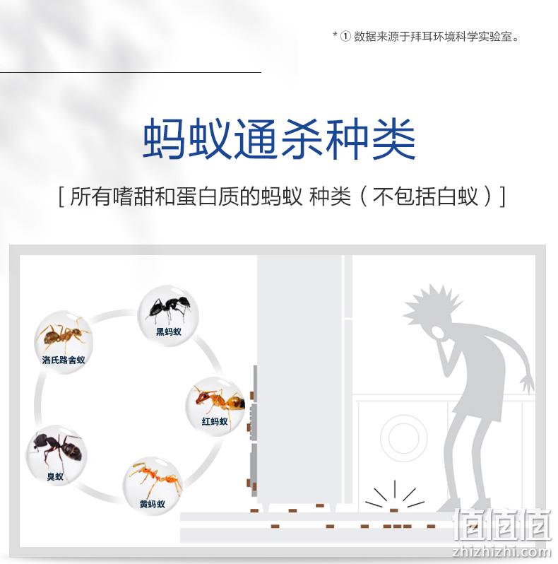 蚂蚁全窝端,法国进口:德国 拜耳 拜灭易 灭蚁胶饵 5g 19.9元包邮 值值值-买手聚集的地方