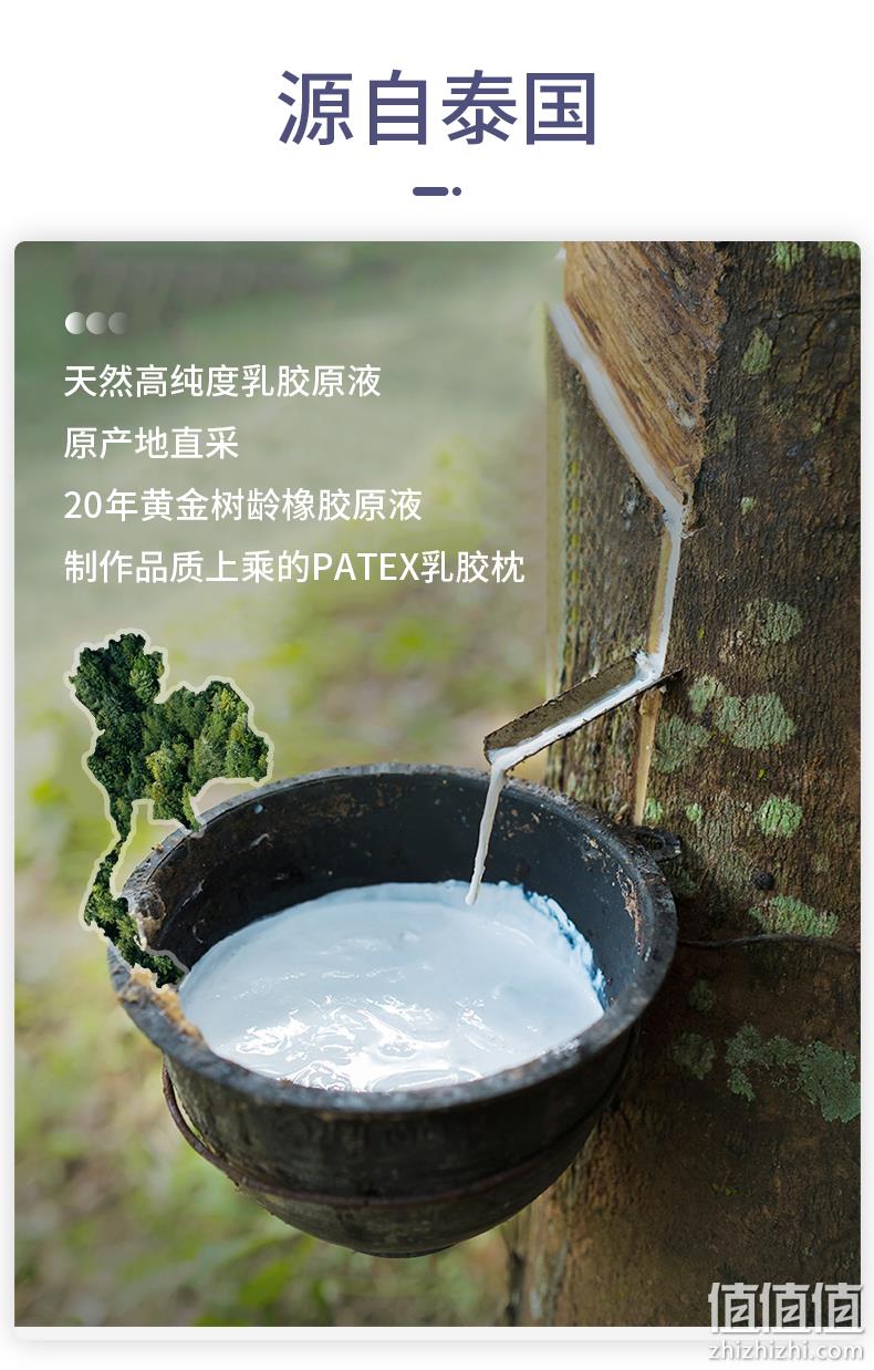 泰国原装进口，90%天然乳胶：PATEX 天然乳胶枕 118元包邮 值值值-买手聚集的地方