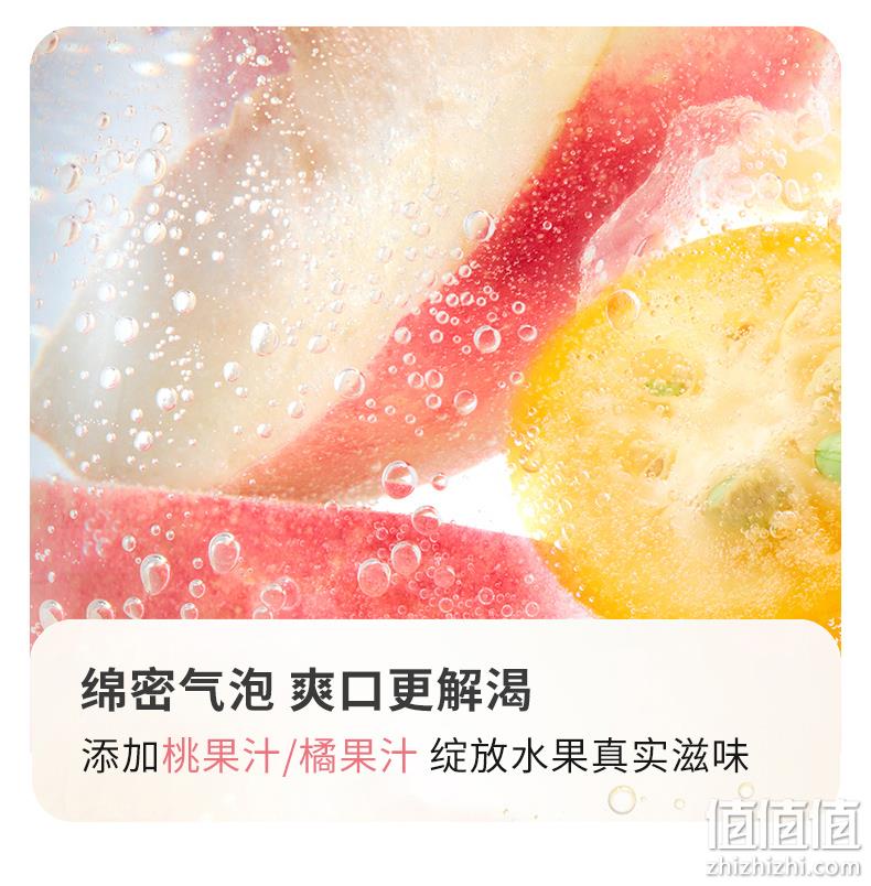0脂0糖0卡,解渴轻负担:480mlx5瓶 汉口二厂 三零气泡水 19.9元包邮 值值值-买手聚集的地方