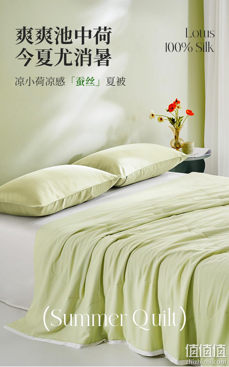 上市企业，100%蚕丝：150x210cm 太湖雪 凉小荷 夏凉空调被 199元起包邮 值值值-买手聚集的地方