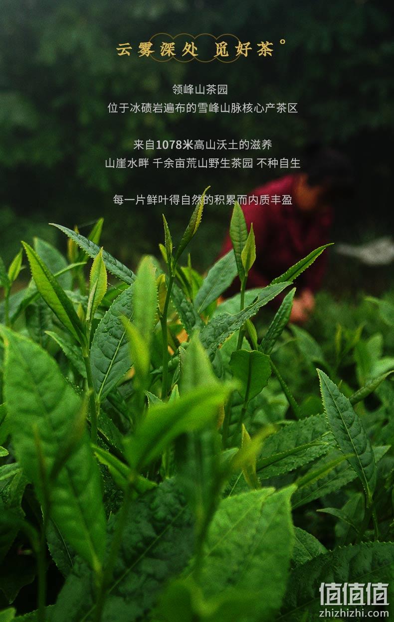 天尖嫩料，油腻克星：30g 安化黑茶 湖南正宗安化天尖散装黑茶 19.9元包邮 值值值-买手聚集的地方