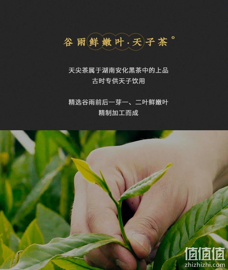 天尖嫩料，油腻克星：30g 安化黑茶 湖南正宗安化天尖散装黑茶 19.9元包邮 值值值-买手聚集的地方