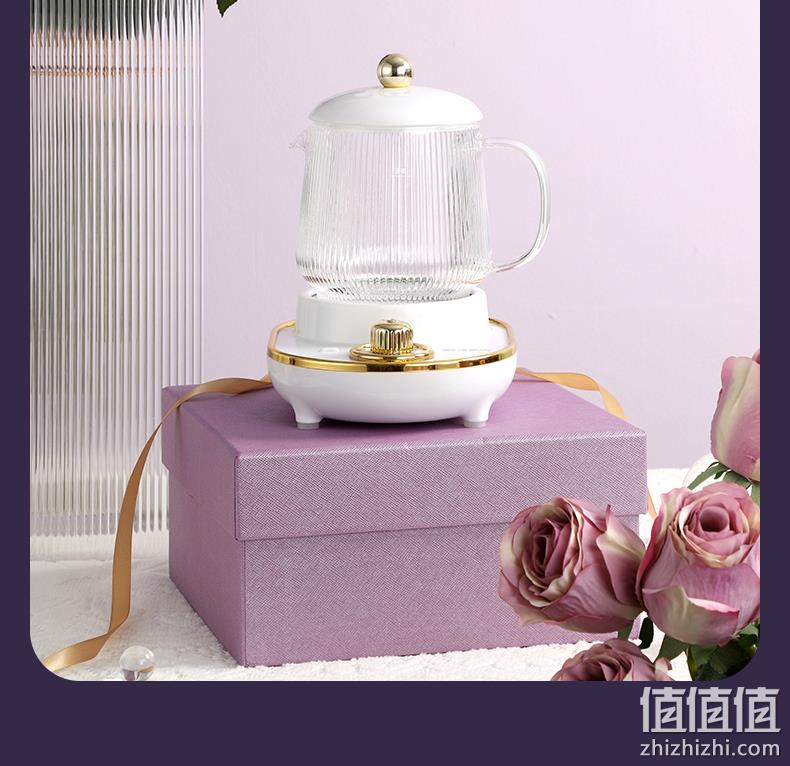 可烧开水，2档火力：600ml 澳柯龙 多功能小型养生电炖杯 YSB-003 49元起包邮 值值值-买手聚集的地方