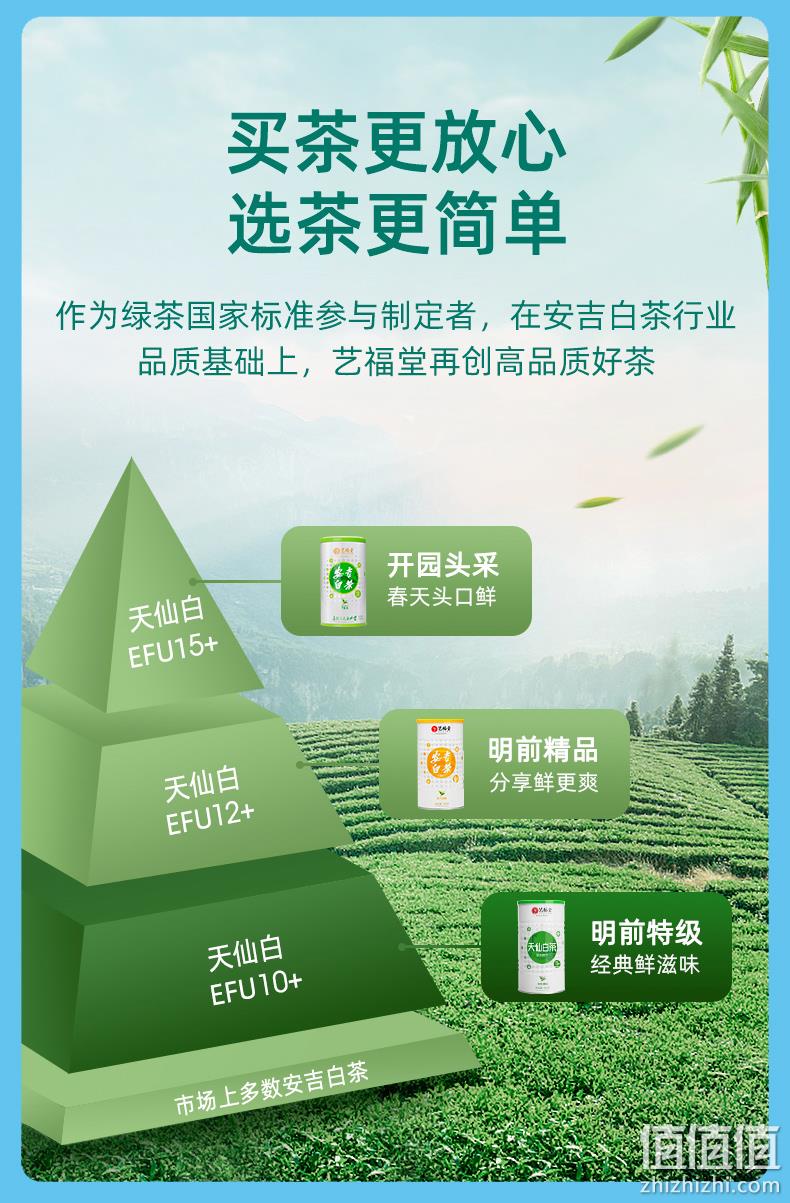 浙江名牌，2022新茶：艺福堂 明前特级安吉白茶 100g 58元包邮 值值值-买手聚集的地方