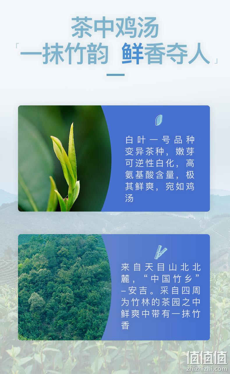 浙江名牌，2022新茶：艺福堂 明前特级安吉白茶 100g 58元包邮 值值值-买手聚集的地方