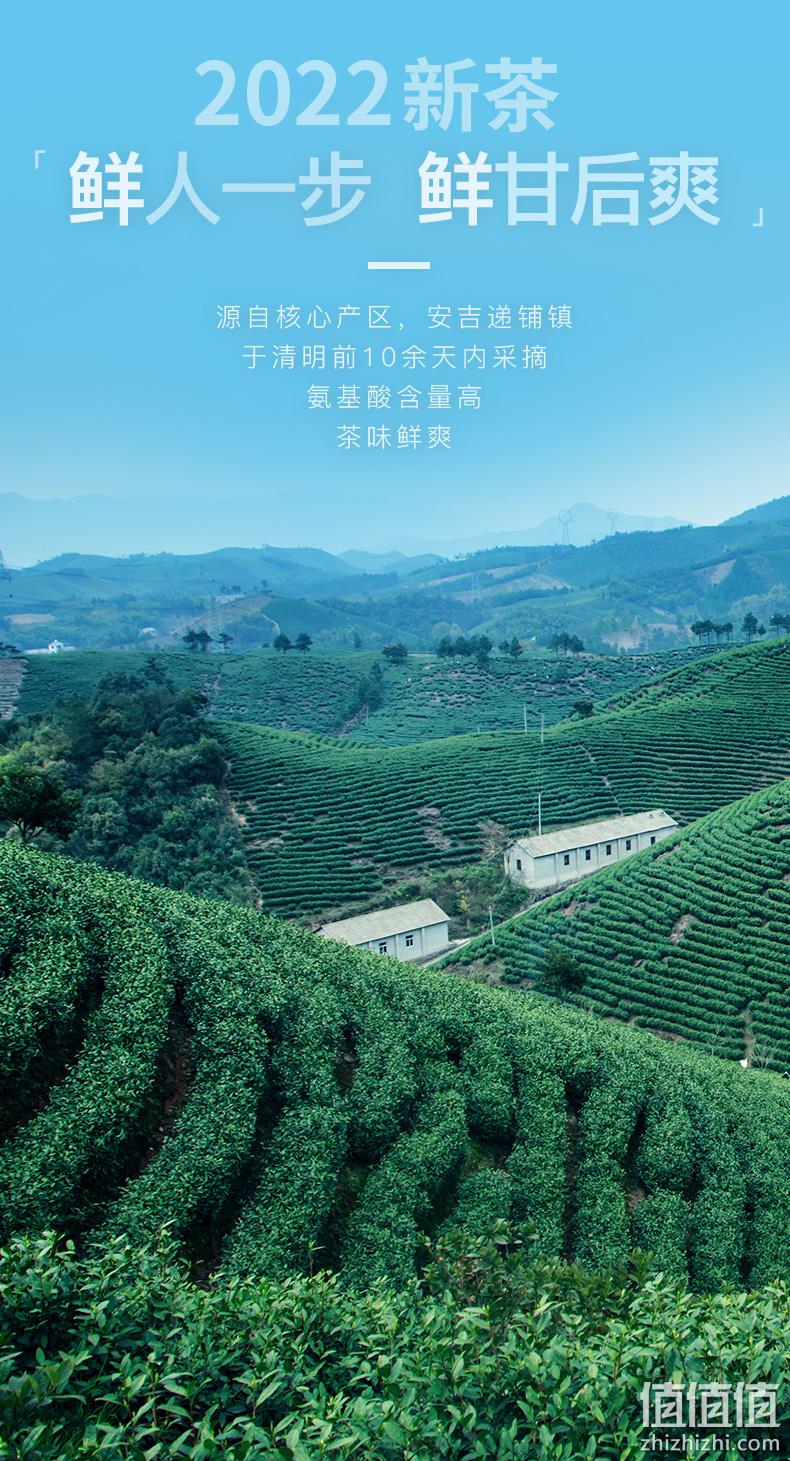 浙江名牌，2022新茶：艺福堂 明前特级安吉白茶 100g 58元包邮 值值值-买手聚集的地方