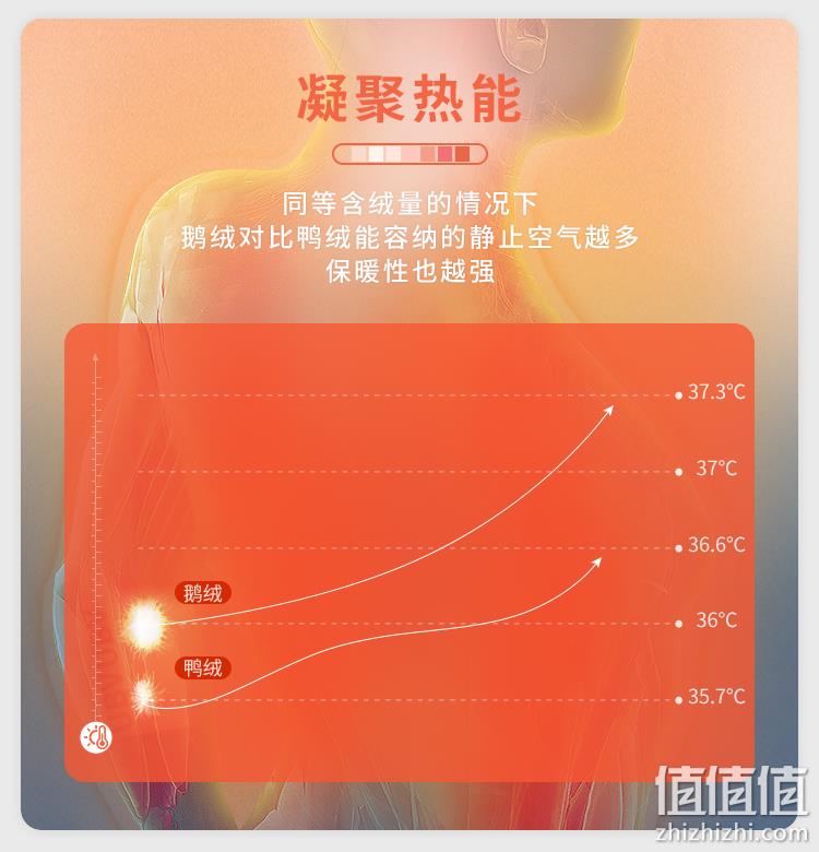 雪中飞 女士 轻暖鹅绒 短款羽绒服 199元包邮 值值值-买手聚集的地方