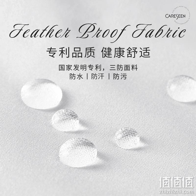 五星级酒店供应商，康尔馨 白鹅绒双层欣享时光枕芯 一只装 158元包邮（一对299元） 值值值-买手聚集的地方