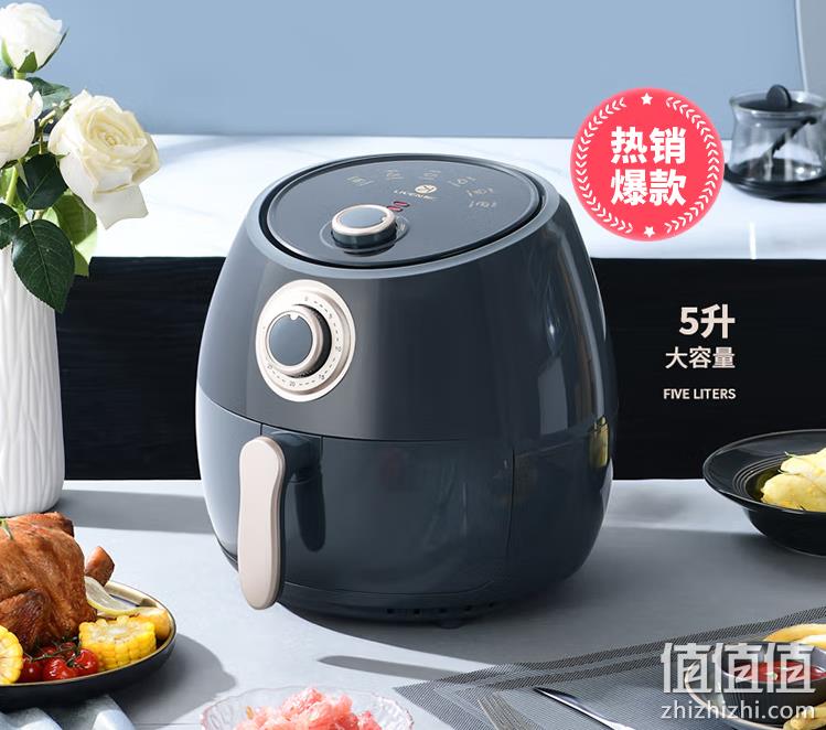 LIVEN 利仁 KZ-J5010 家用大容量空气炸锅 5L 新低149元包邮（双重优惠） 值值值-买手聚集的地方