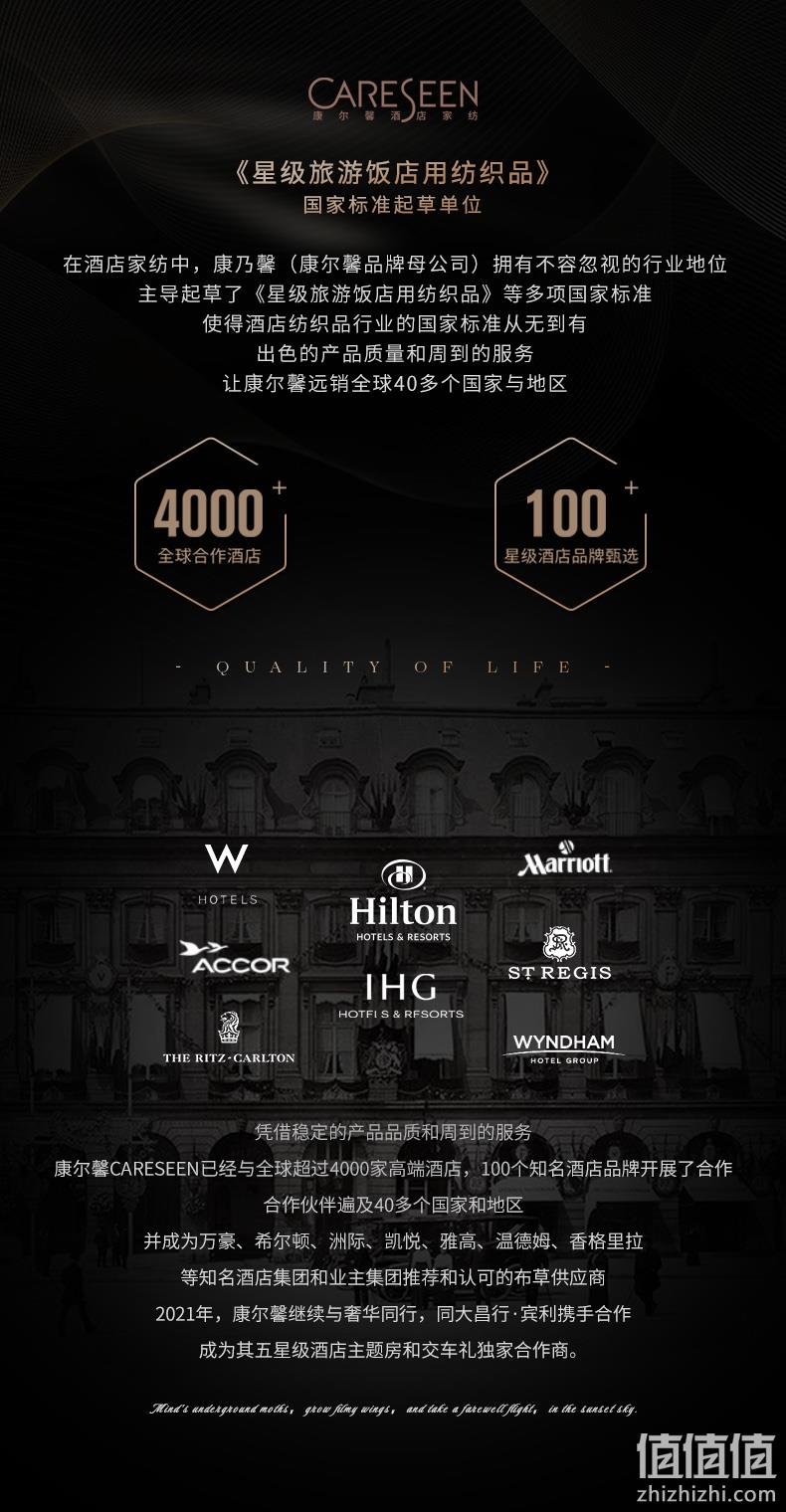 五星级酒店供应商，康尔馨 白鹅绒双层欣享时光枕芯 一只装 158元包邮（一对299元） 值值值-买手聚集的地方