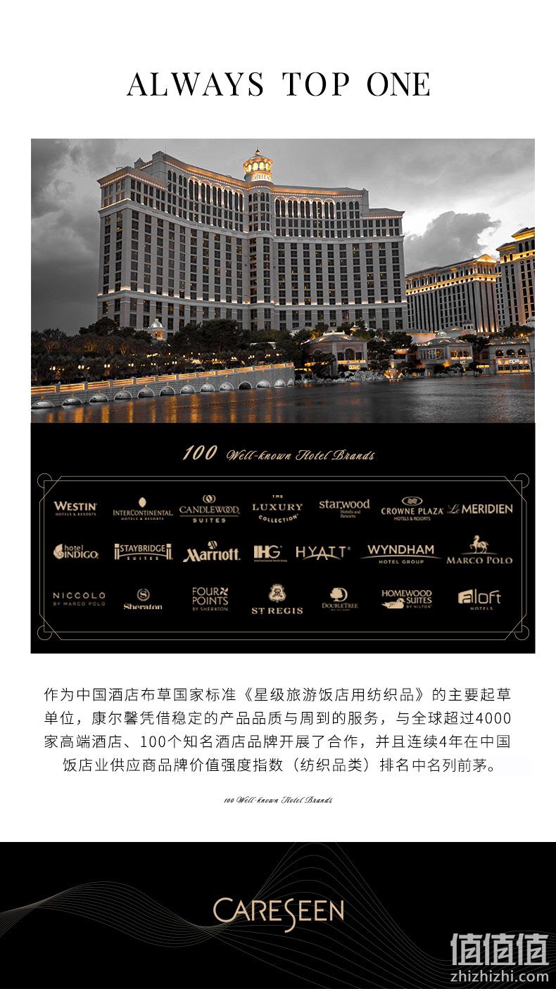 五星级酒店供应商，康尔馨 白鹅绒双层欣享时光枕芯 一只装 158元包邮（一对299元） 值值值-买手聚集的地方