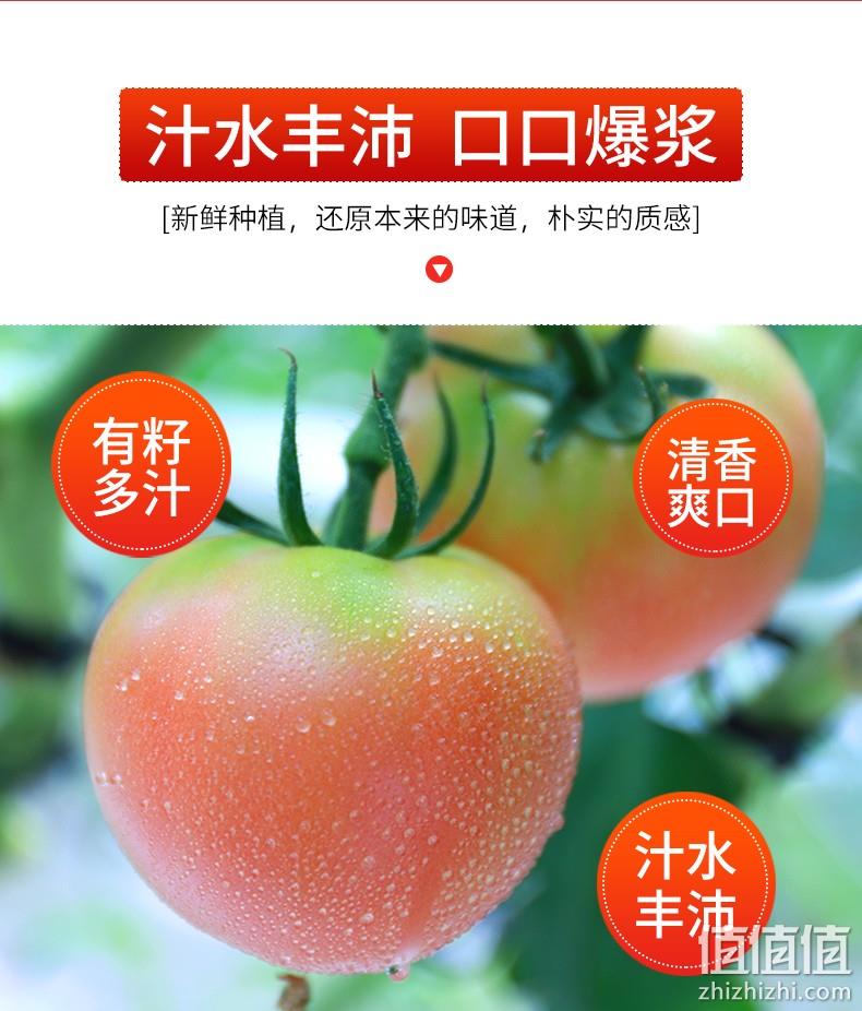 北京奥运会食材供应商，绿行者 桃太郎粉番茄新鲜西红柿5斤 24.9元顺丰包邮（需领券） 值值值-买手聚集的地方