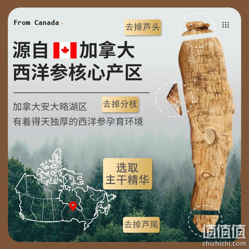 华喜堂 加拿大进口西洋参切片 50g*2件 43元包邮（折21.5元/盒） 值值值-买手聚集的地方