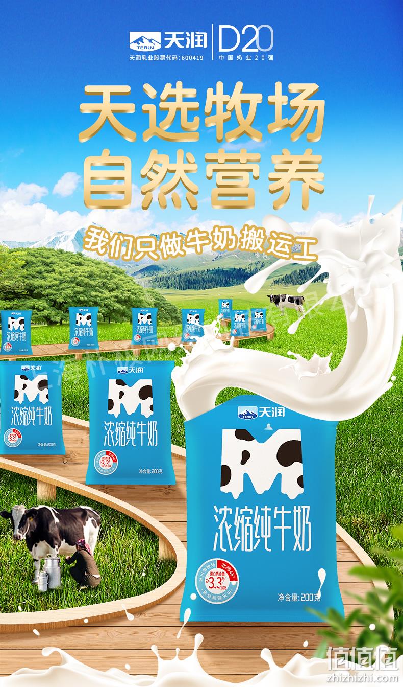 terun 天润 浓缩全脂牛奶M枕袋装 205克*12包 新低34元包邮（需领券） 值值值-买手聚集的地方
