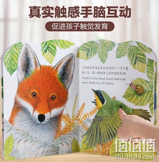 乐乐趣 亮丽精美触摸书系列--小兔比利/小熊波比/小水獭奥斯卡 任选 29元包邮（需领券） 值值值-买手聚集的地方
