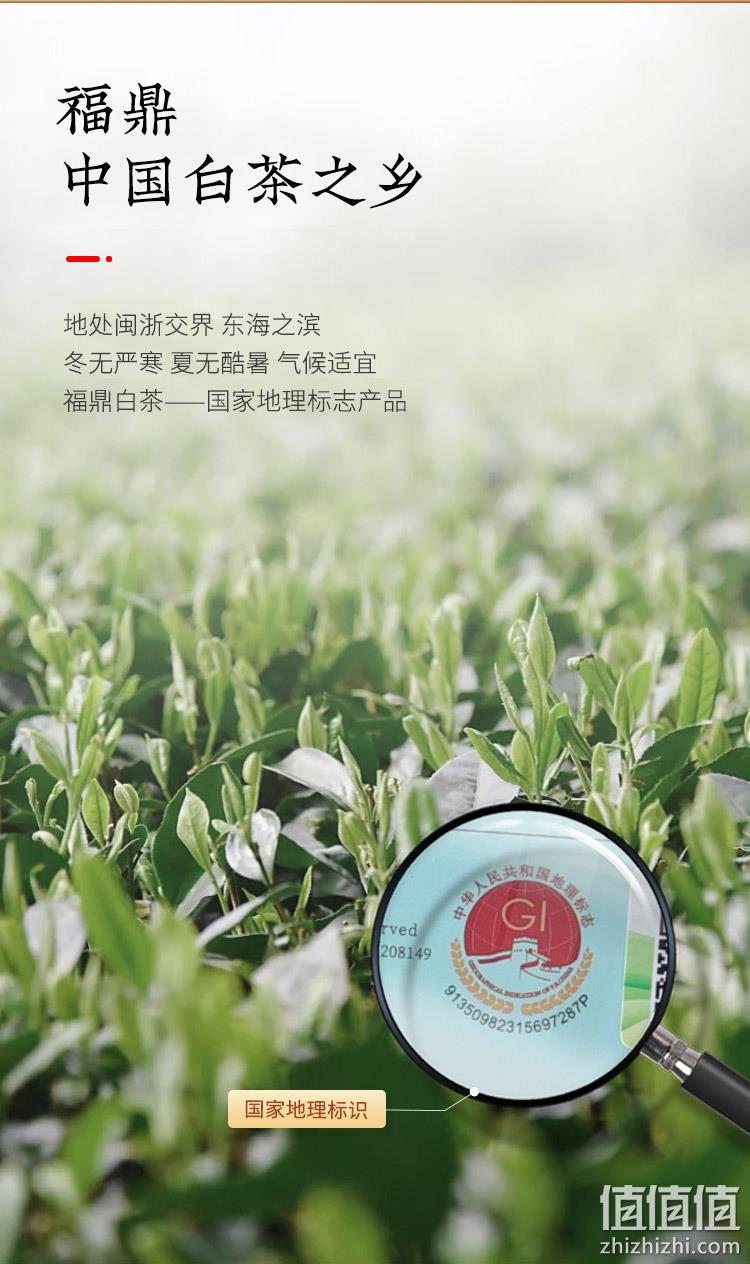 虎标 福鼎白茶2018年太姥山寿眉茶220g/罐 174.4元包邮（双重优惠） 值值值-买手聚集的地方