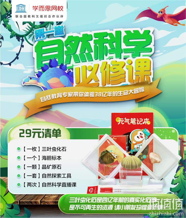 学而思 化石标本+自然直播课 19元包邮（需领券） 值值值-买手聚集的地方