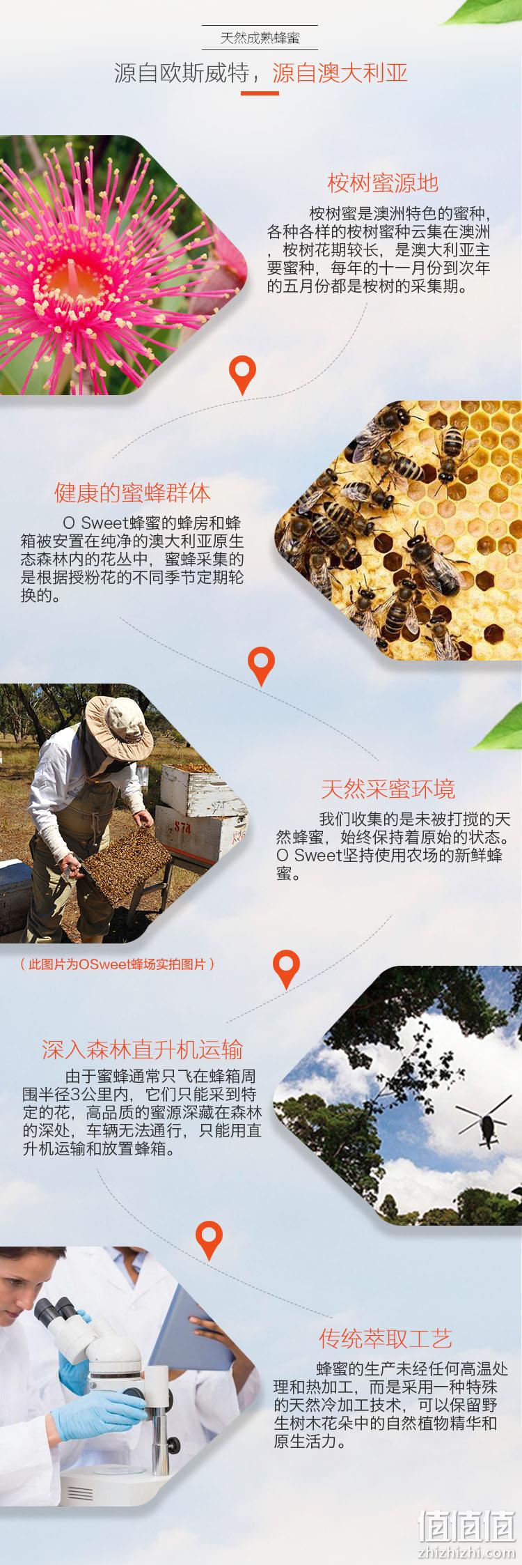新低！我是大医生节目同款，澳大利亚进口 osweet 欧斯威特 天然野生养胃桉树蜜 500g 39元包邮，赠木勺 值值值-买手聚集的地方