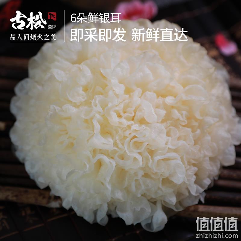 古松 新鲜银耳白木耳鲜活雪耳 6朵 700g 16.9元顺丰包邮（需领券） 值值值-买手聚集的地方