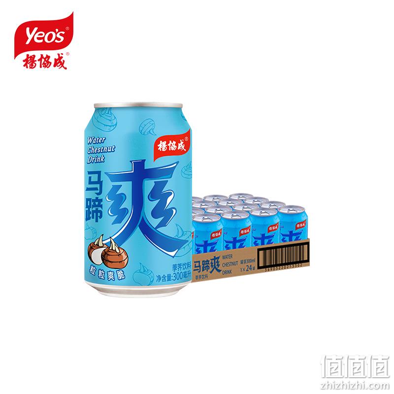 杨协成 马蹄爽荸荠饮料 300ml*24罐 79元包邮（需领券） 值值值-买手聚集的地方