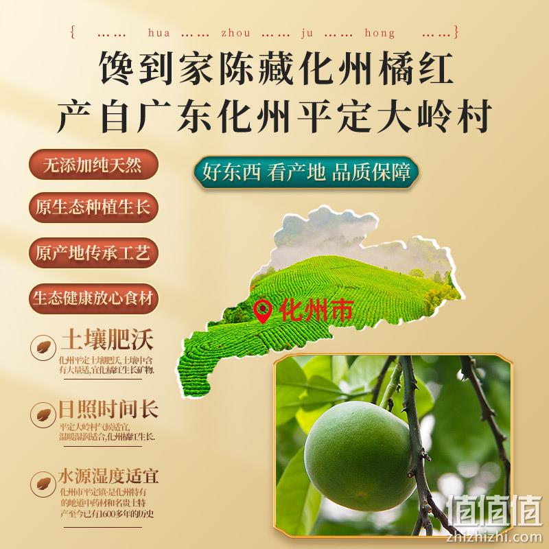 理气化痰，馋到家 十年陈藏化州橘红片100g礼罐 9.9元包邮（需领券） 值值值-买手聚集的地方