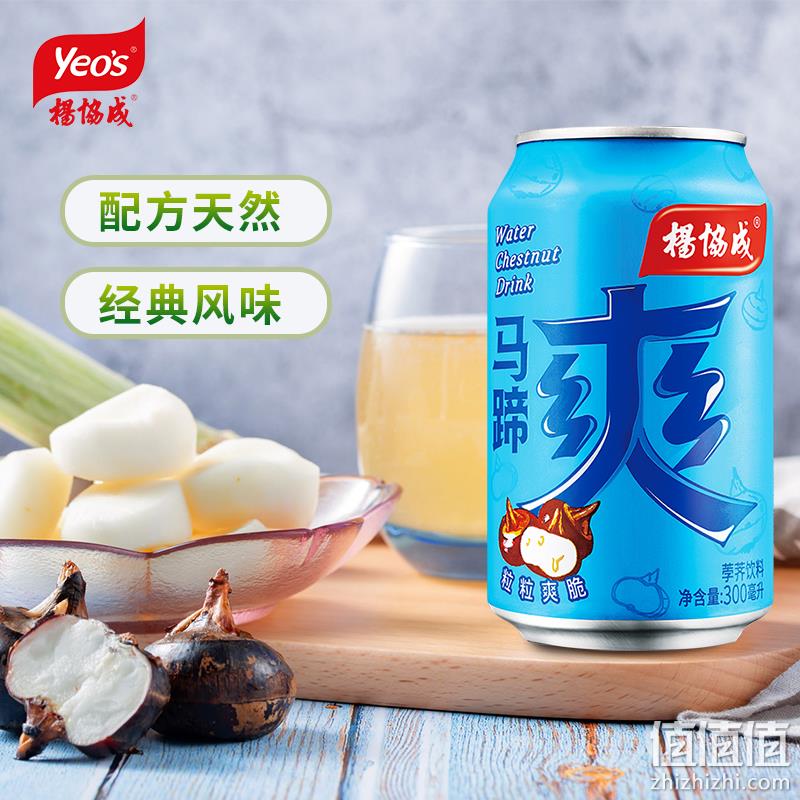 杨协成 马蹄爽荸荠饮料 300ml*24罐 79元包邮（需领券） 值值值-买手聚集的地方