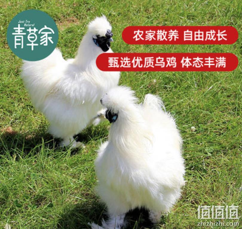 青草家 新鲜现杀白羽乌鸡1000g*2只装 79元包邮（需领券） 值值值-买手聚集的地方