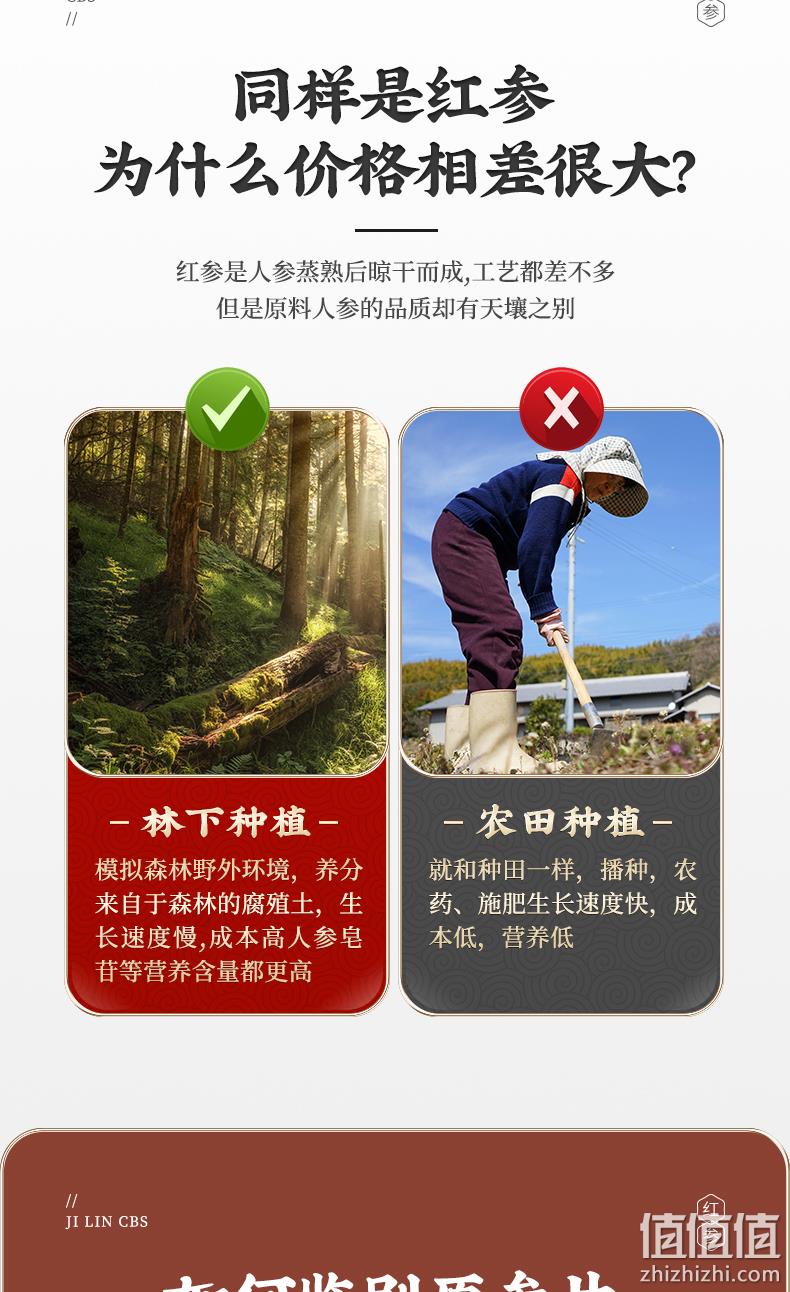 绿润堂 高丽红参片 50g 19.8元包邮（需领券） 值值值-买手聚集的地方