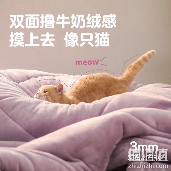 网易严选 A类抗菌抗静电牛奶绒秋冬被 150*200cm 89.1元（双重优惠） 值值值-买手聚集的地方