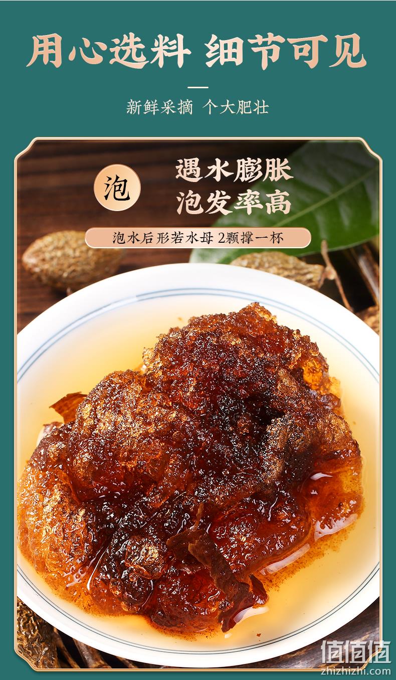 同仁堂 胖大海100g/罐 9.9元包邮（需领券） 值值值-买手聚集的地方
