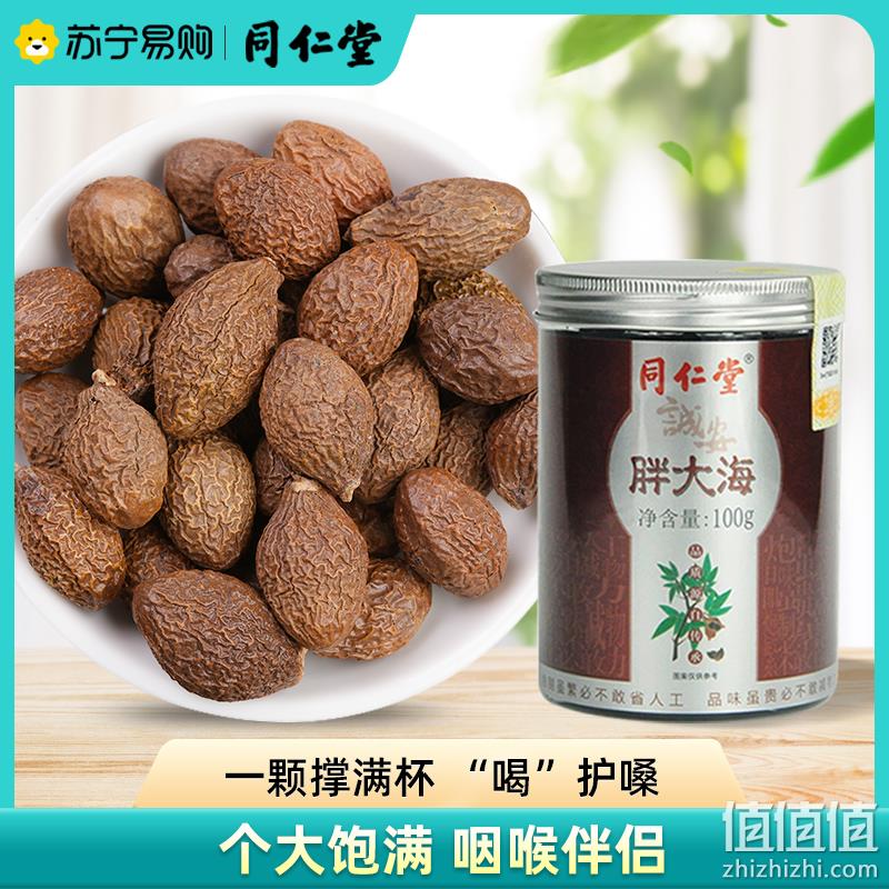 同仁堂 胖大海100g/罐 9.9元包邮（需领券） 值值值-买手聚集的地方