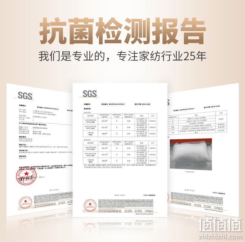 紫罗兰 全棉刺绣抗菌枕头可水洗一对装 48元包邮（需领券） 值值值-买手聚集的地方