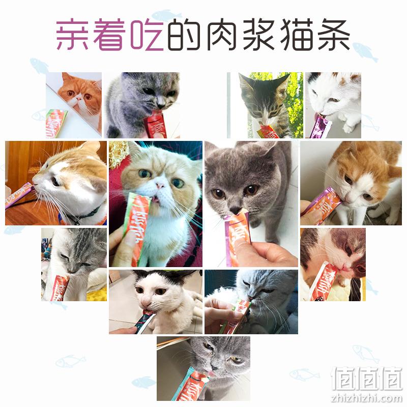 Myfoodie 麦富迪 亲嘴鱼猫条 14g*50支 42元包邮（需领券） 值值值-买手聚集的地方