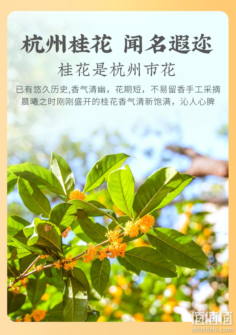 浙江老牌，狮峰 杭州特产桂花红茶 50g*3罐 78元包邮（26元/罐） 值值值-买手聚集的地方