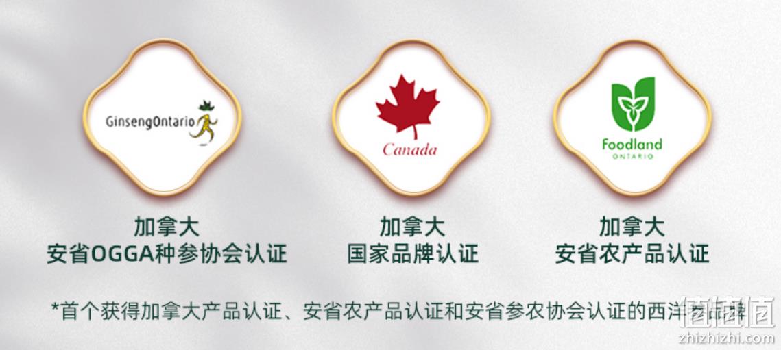 加拿大进口，大山行 西洋参原支礼盒 特大5年花旗参 120g 288元包邮包税（需领券） 值值值-买手聚集的地方
