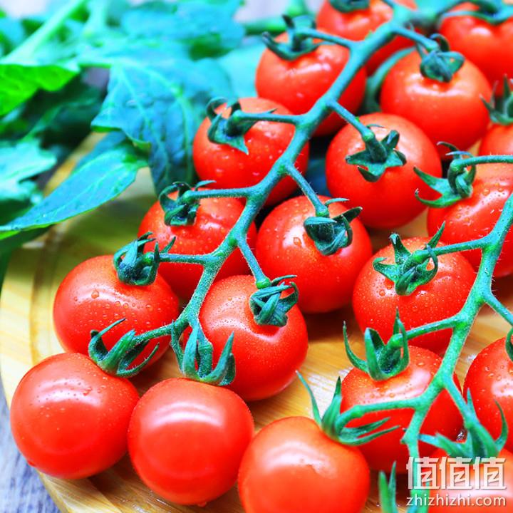 北京奥运会食材供应商，绿行者 串爽樱桃番茄礼盒装 198g*4盒 31.95元包邮（需领券） 值值值-买手聚集的地方