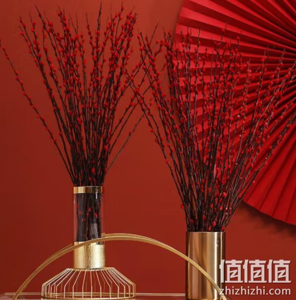 flowerplus 花加 云南基地直发 银柳20枝（60cm） 9.9元包邮（需领券） 值值值-买手聚集的地方
