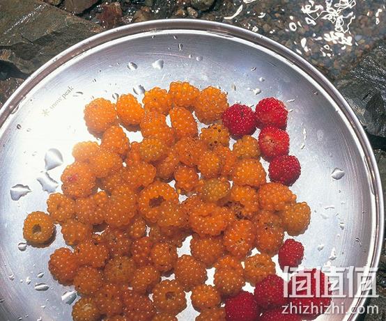 Snow Peak 雪峰 不锈钢餐具4件套装 253元 值值值-买手聚集的地方