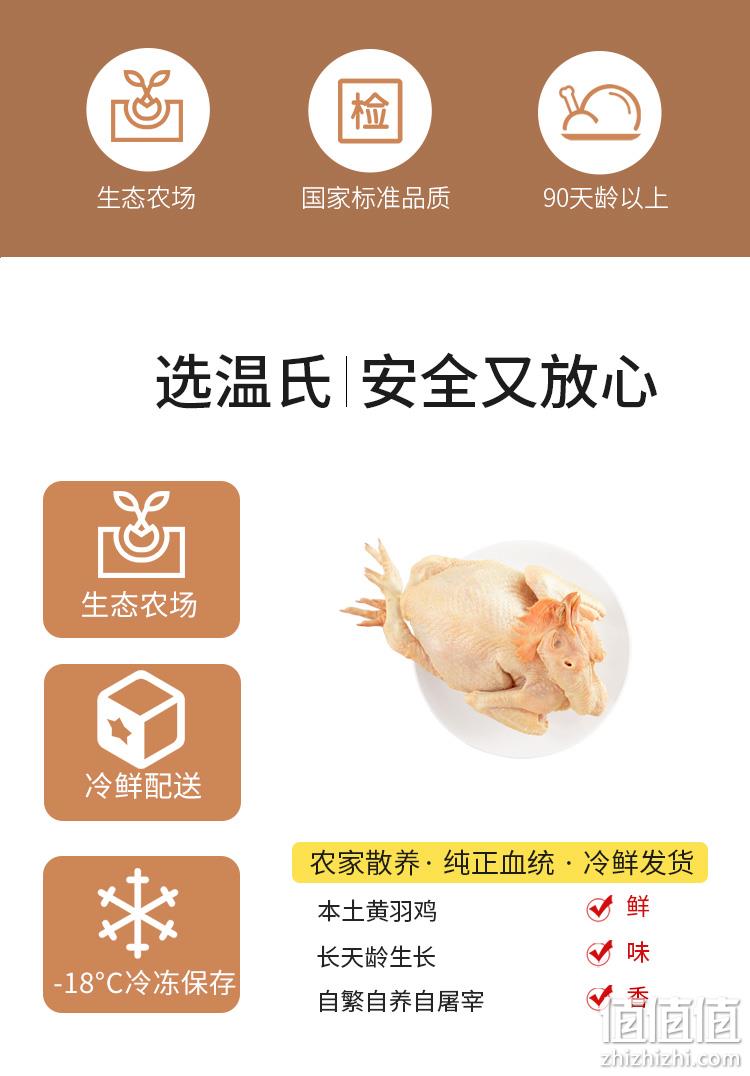 上市公司出品，温氏 土鸡农家散养三黄鸡 800g 29.35元包邮（拍2折27.93元/只） 值值值-买手聚集的地方